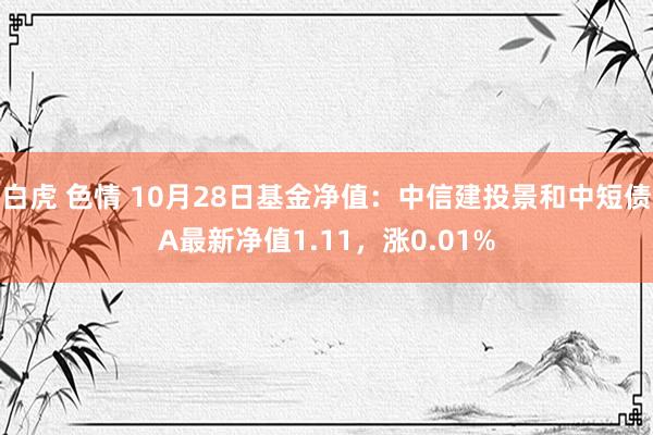 白虎 色情 10月28日基金净值：中信建投景和中短债A最新净值1.11，涨0.01%