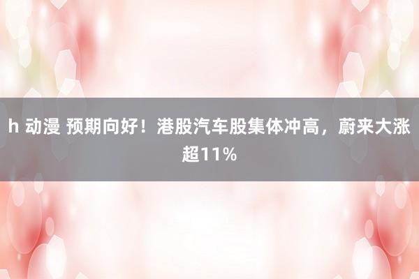 h 动漫 预期向好！港股汽车股集体冲高，蔚来大涨超11%