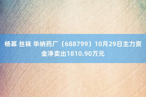 杨幂 丝袜 华纳药厂（688799）10月29日主力资金净卖出1810.90万元