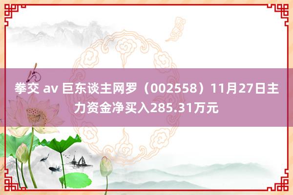 拳交 av 巨东谈主网罗（002558）11月27日主力资金净买入285.31万元