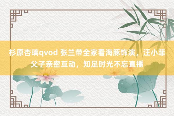杉原杏璃qvod 张兰带全家看海豚饰演，汪小菲父子亲密互动，知足时光不忘直播