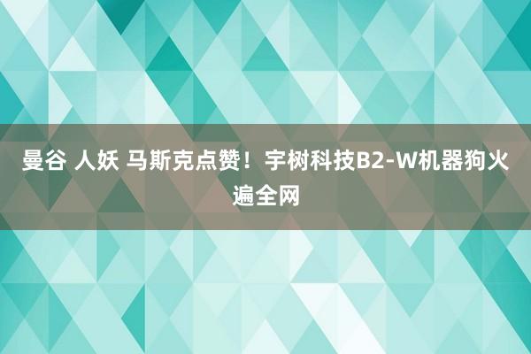 曼谷 人妖 马斯克点赞！宇树科技B2-W机器狗火遍全网