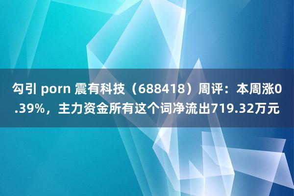 勾引 porn 震有科技（688418）周评：本周涨0.39%，主力资金所有这个词净流出719.32万元