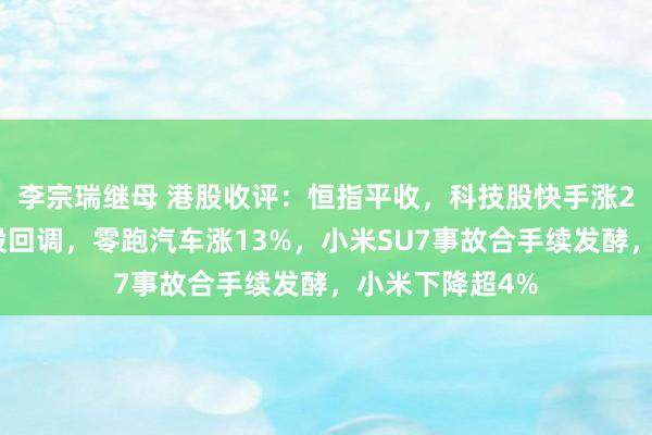 李宗瑞继母 港股收评：恒指平收，科技股快手涨2%，生物医药股回调，零跑汽车涨13%，小米SU7事故合手续发酵，小米下降超4%