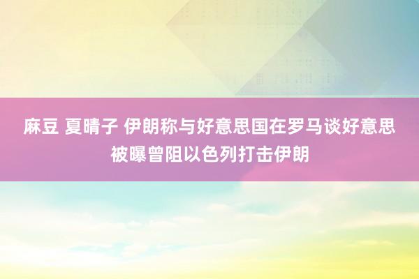 麻豆 夏晴子 伊朗称与好意思国在罗马谈　好意思被曝曾阻以色列打击伊朗